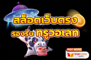 ฝากถอนวอเลท ระบบการเงินออนไลน์รวดเร็ว รองรับการใช้งานผ่านมือถือ